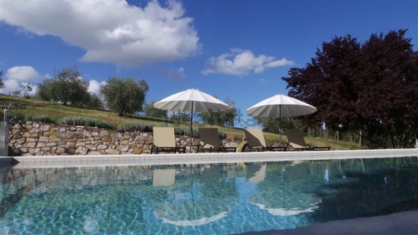 azienda agricola in vendita a Castellina in Chianti