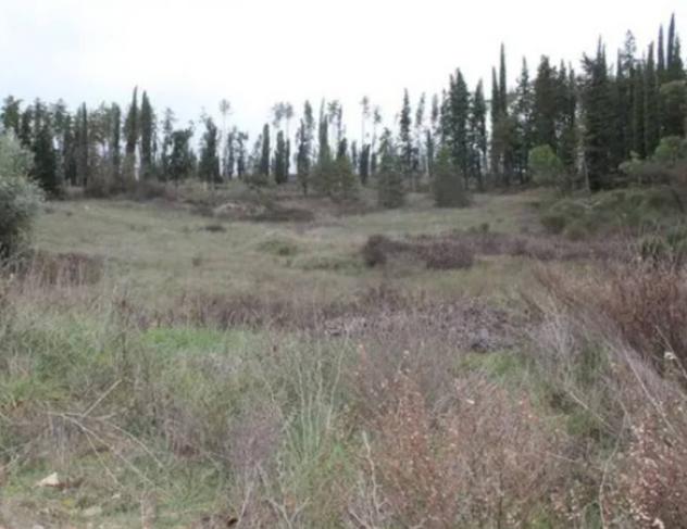 terreno agricolo in vendita a Castellina in Chianti in zona Croce Fiorentina