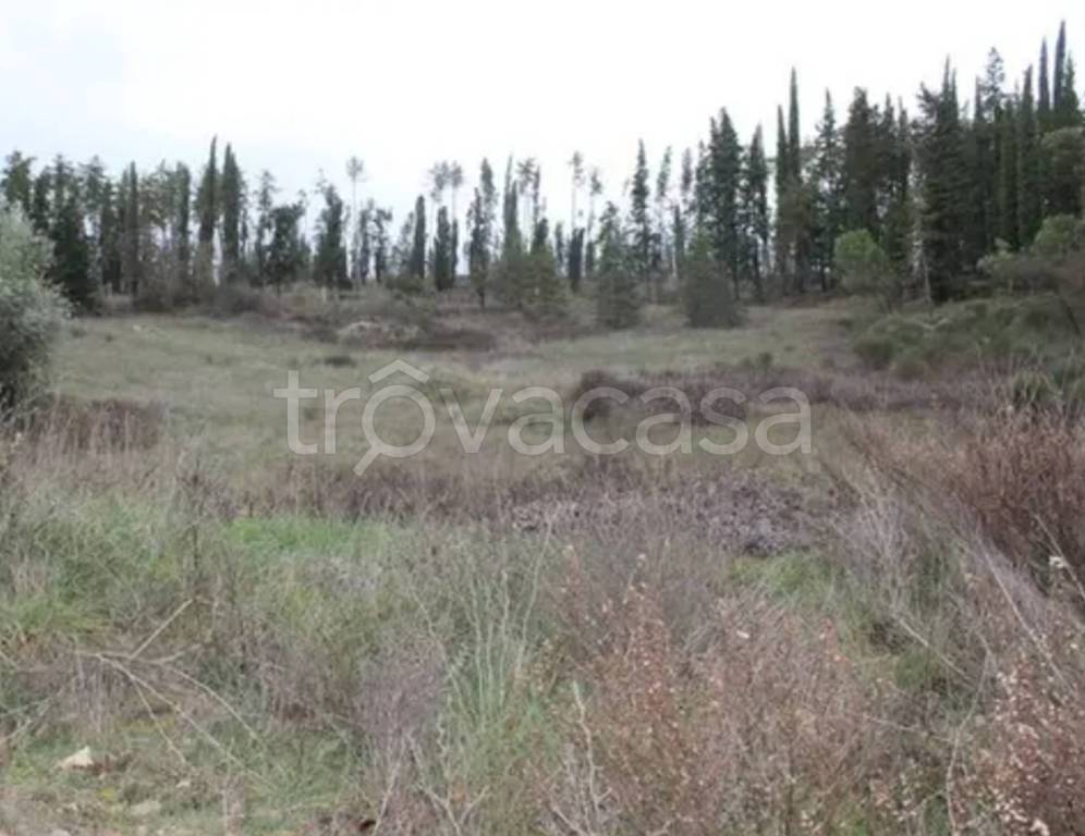 terreno agricolo in vendita a Castellina in Chianti in zona Croce Fiorentina