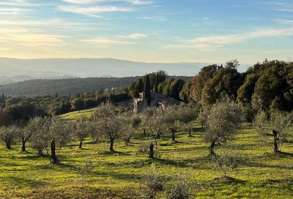 casale in vendita a Castellina in Chianti