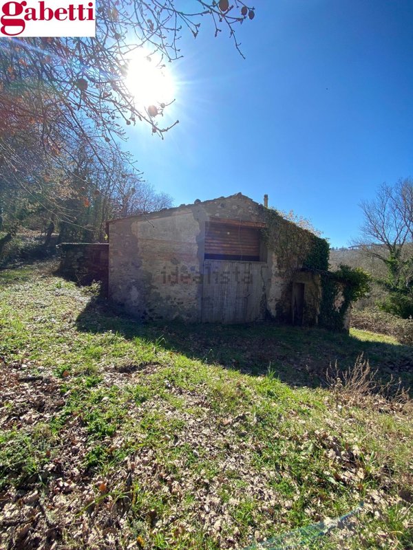 esavano in vendita a Castellina in Chianti