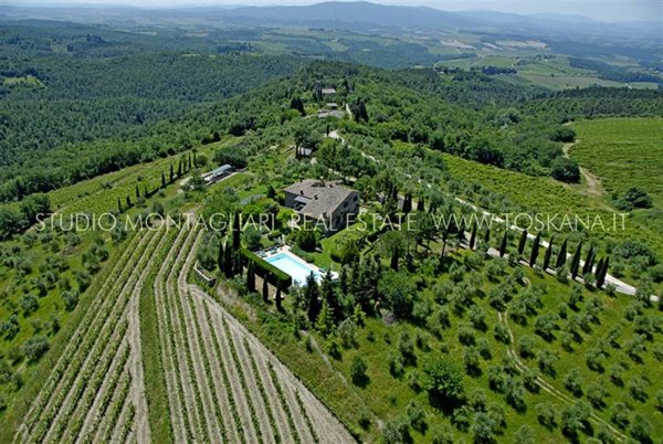 azienda agricola in vendita a Castellina in Chianti