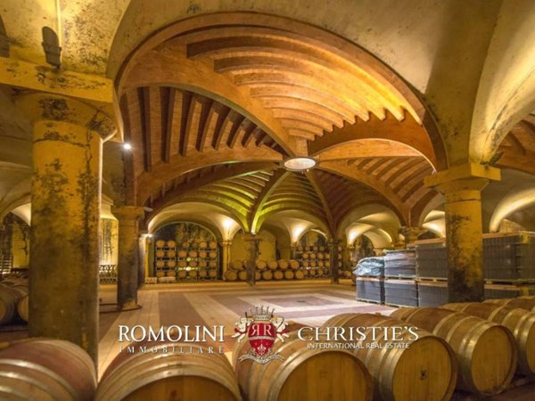 azienda agricola in vendita a Castellina in Chianti