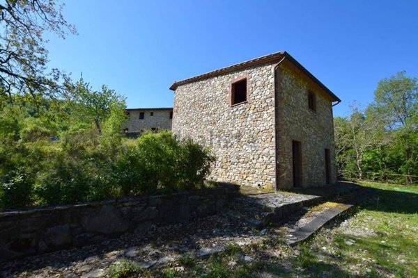 pentavano in vendita a Castellina in Chianti in zona Santa Maria a Grignano