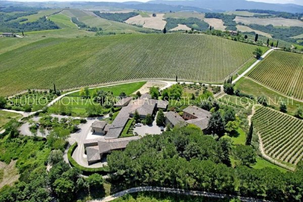azienda agricola in vendita a Castellina in Chianti