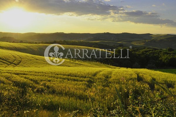 negozio in vendita a Castelnuovo Berardenga