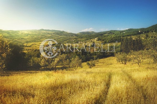 negozio in vendita a Castelnuovo Berardenga