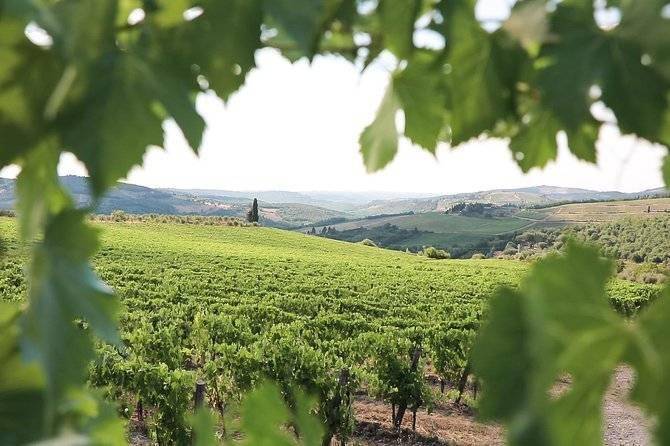 casa indipendente in vendita a Castelnuovo Berardenga