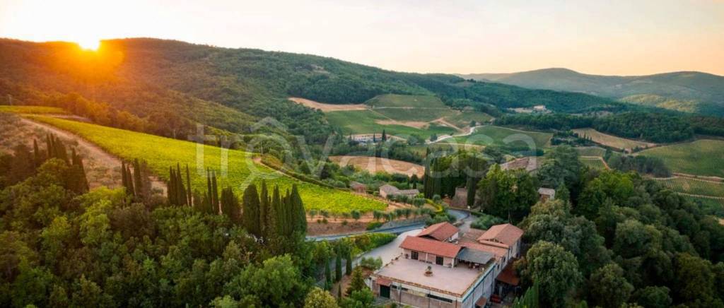 azienda agricola in vendita a Castelnuovo Berardenga