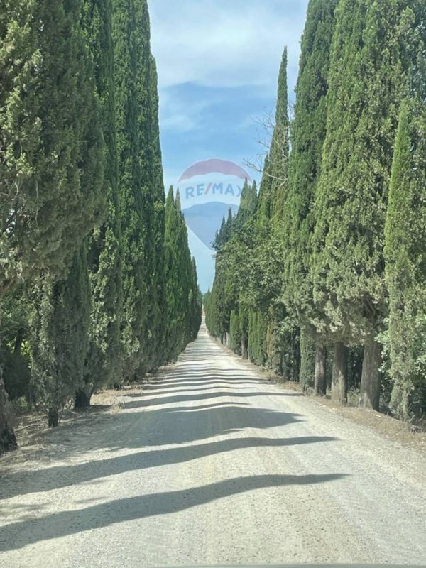 casa indipendente in vendita a Castelnuovo Berardenga
