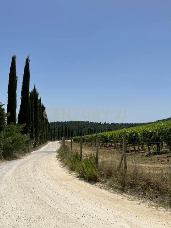appartamento in vendita a Castelnuovo Berardenga