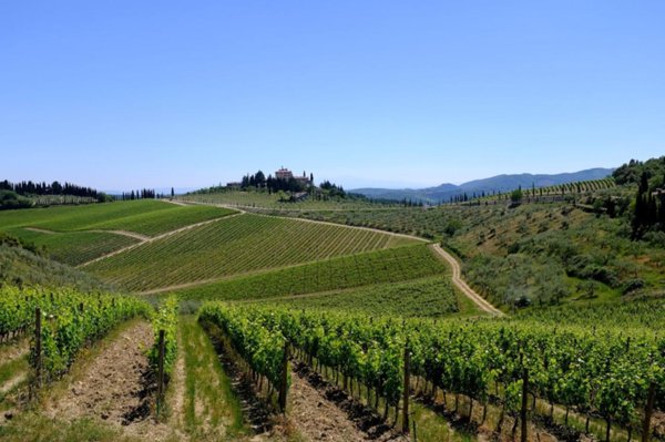 negozio in vendita a Castelnuovo Berardenga