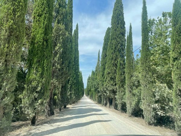 terreno agricolo in vendita a Castelnuovo Berardenga