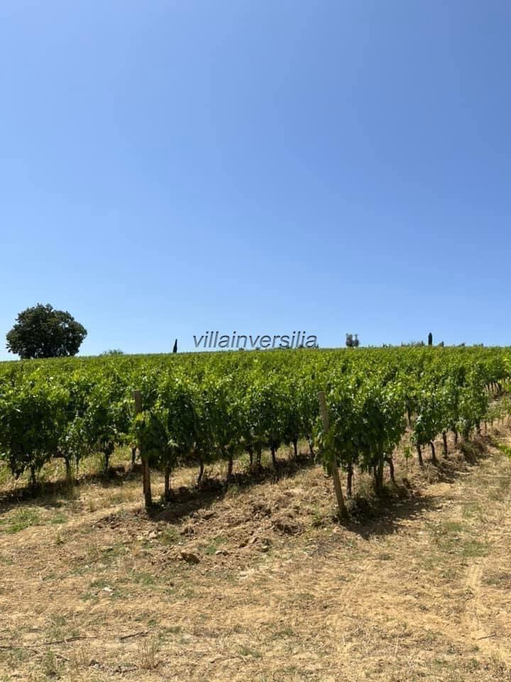 casa indipendente in vendita a Castelnuovo Berardenga