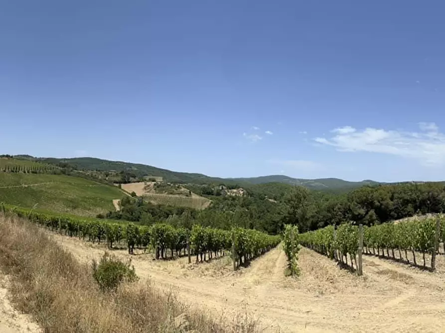 casa indipendente in vendita a Castelnuovo Berardenga
