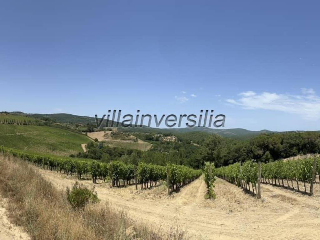 terreno agricolo in vendita a Castelnuovo Berardenga