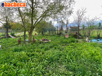 terreno agricolo in vendita a Castelnuovo Berardenga in zona Casetta
