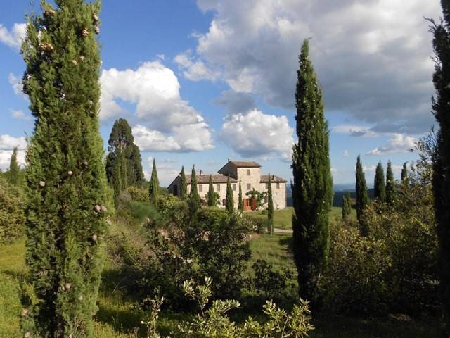 casa indipendente in vendita a Castelnuovo Berardenga in zona Rosennano