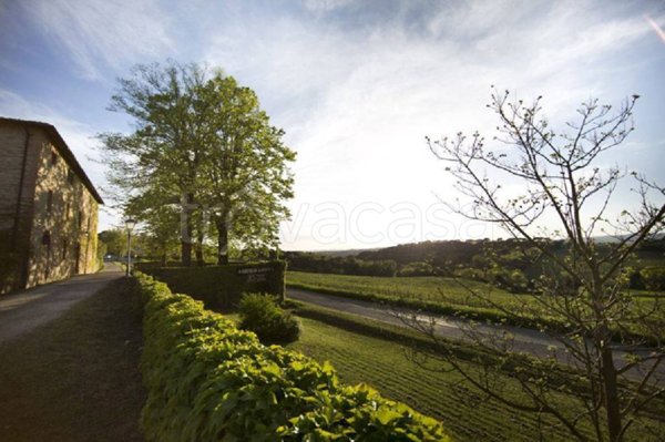 appartamento in vendita a Castelnuovo Berardenga in zona Bossi