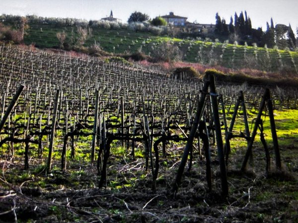 azienda agricola in vendita a Castelnuovo Berardenga