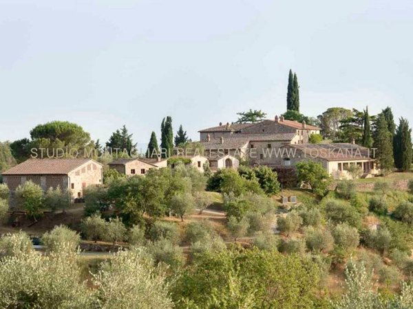 azienda agricola in vendita a Castelnuovo Berardenga
