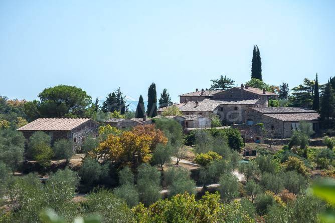 casa indipendente in vendita a Castelnuovo Berardenga