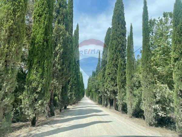 casa indipendente in vendita a Castelnuovo Berardenga