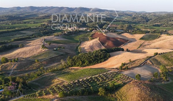 azienda agricola in vendita a Castelnuovo Berardenga