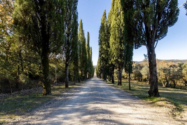 appartamento in vendita a Castelnuovo Berardenga