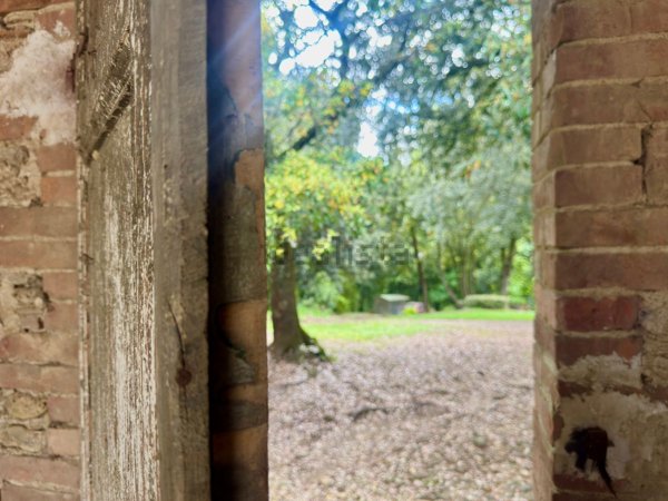 appartamento in vendita a Castelnuovo Berardenga