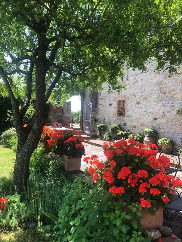 casa indipendente in vendita a Castelnuovo Berardenga in zona Villa a Sesta