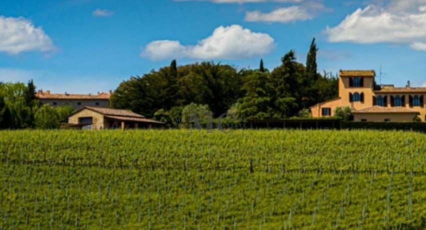 locale di sgombero in vendita a Castelnuovo Berardenga