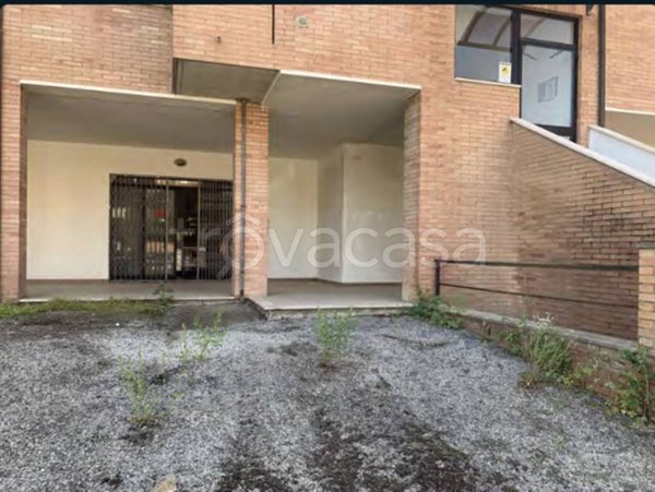 negozio in vendita a Castelnuovo Berardenga in zona Quercegrossa