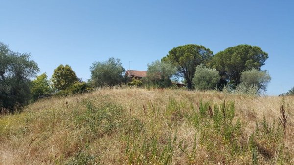 terreno edificabile in vendita a Castelnuovo Berardenga