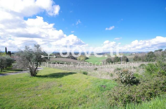terreno agricolo in vendita a Castelnuovo Berardenga