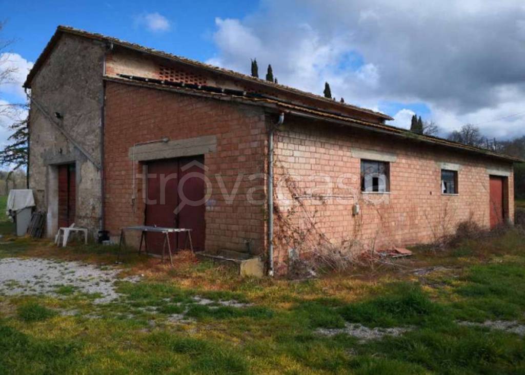 terreno edificabile in vendita a Castelnuovo Berardenga in zona Grillo