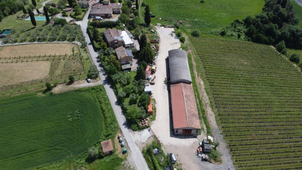 azienda agricola in vendita a Castelnuovo Berardenga in zona Guistrigona