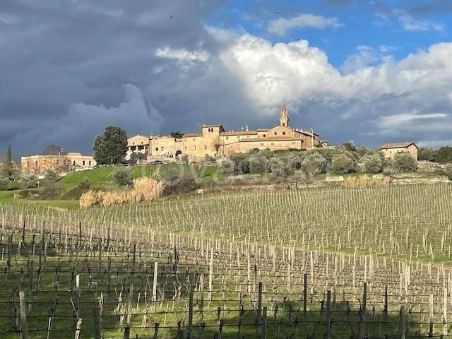 casa indipendente in vendita a Castelnuovo Berardenga in zona San Gusmè