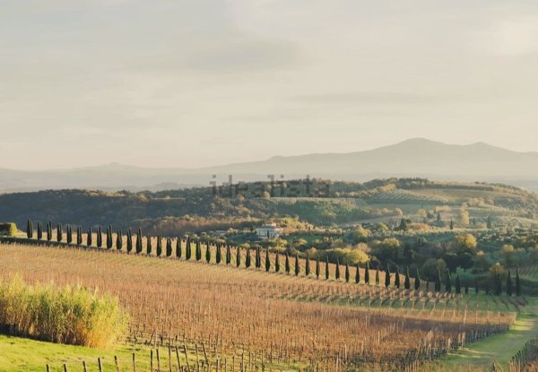 appartamento in vendita a Castelnuovo Berardenga