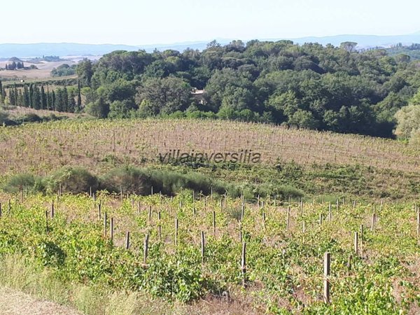 terreno agricolo in vendita a Castelnuovo Berardenga