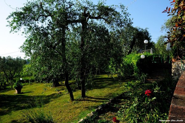 casa indipendente in vendita a Castelnuovo Berardenga in zona Geggiano