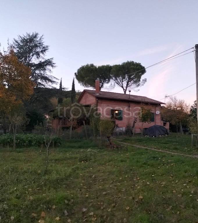 casa indipendente in vendita a Castelnuovo Berardenga