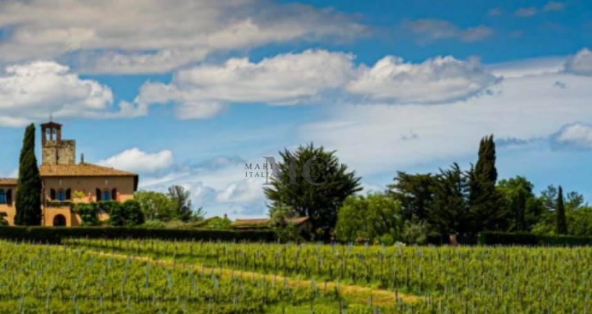 negozio in vendita a Castelnuovo Berardenga