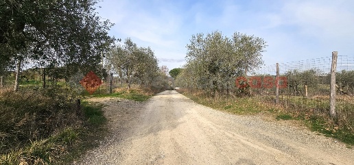 appartamento in vendita a Castelnuovo Berardenga