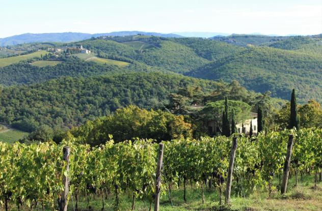 casa indipendente in vendita a Castelnuovo Berardenga