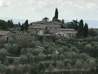 azienda agricola in vendita a Castelnuovo Berardenga