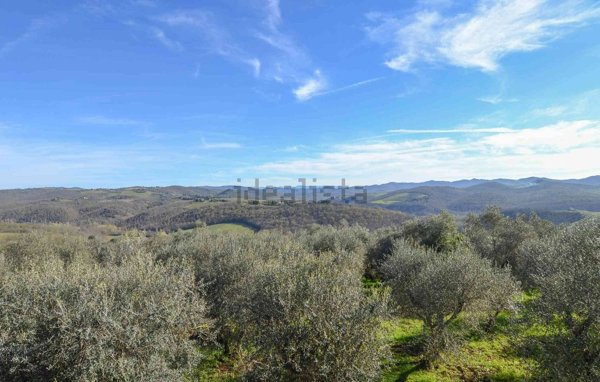 casa indipendente in vendita a Castelnuovo Berardenga in zona Vagliagli