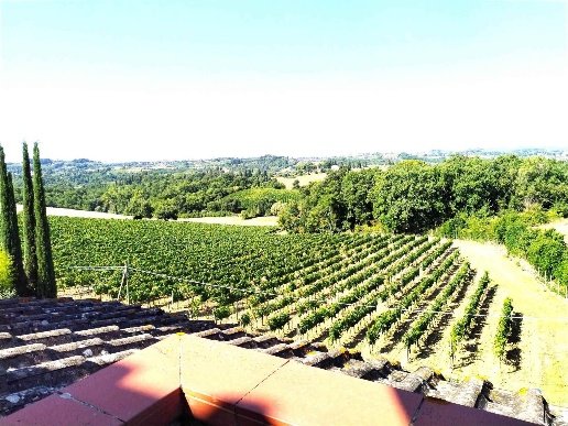 casa indipendente in vendita a Castelnuovo Berardenga in zona Pontignanello