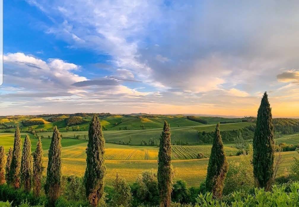 casa indipendente in vendita a Castelnuovo Berardenga in zona Pacina