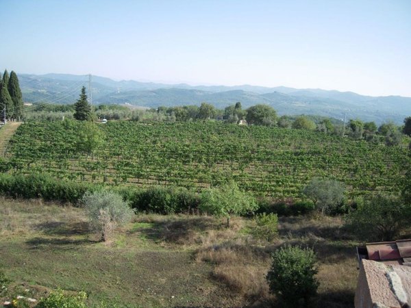 casa indipendente in vendita a Castelnuovo Berardenga